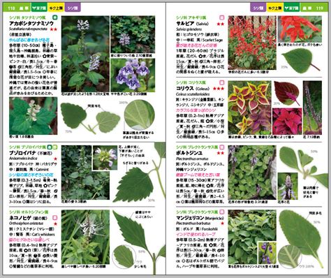 草類植物|植物図鑑